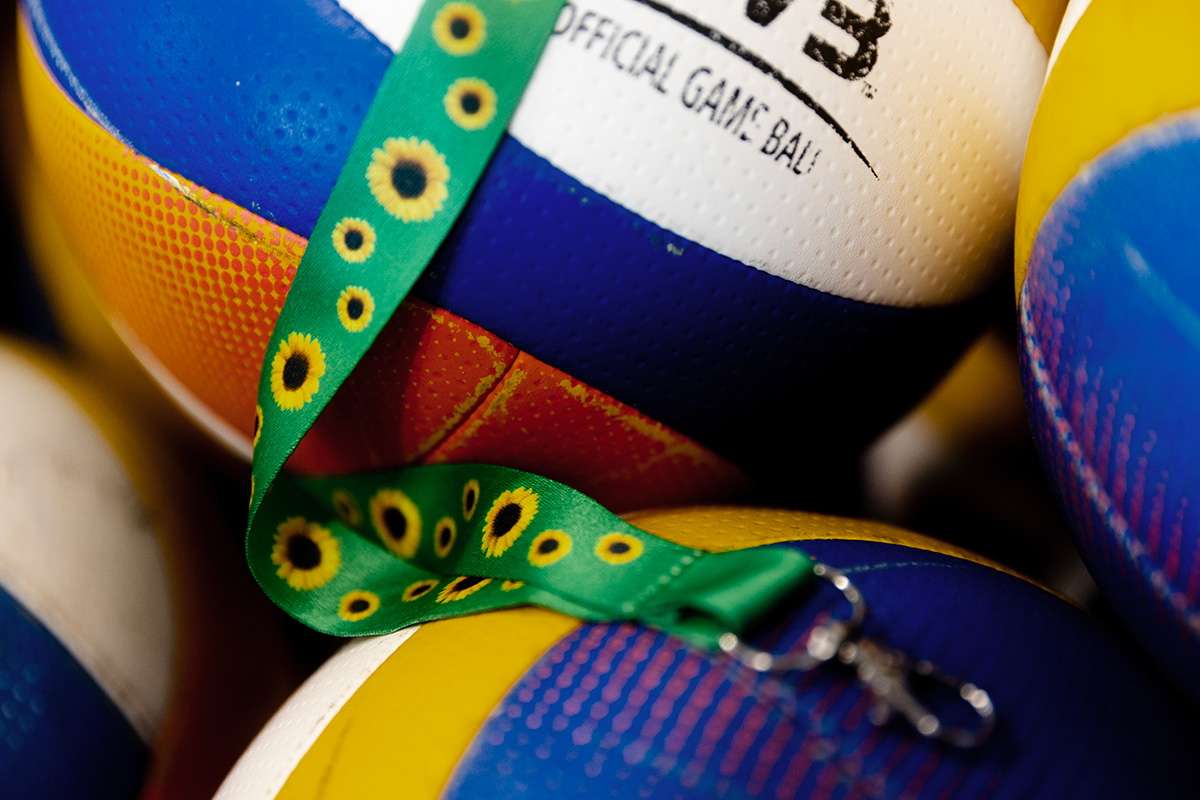 Solsikkesnor mellem volleybolde